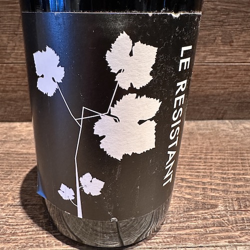ル　レジスタント　2016