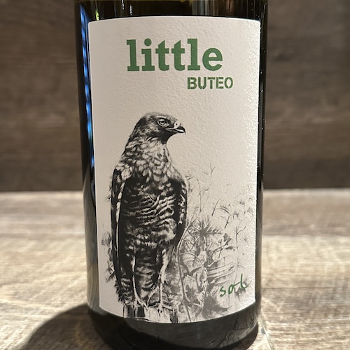 Michael Gindl Little Buteo リトル・ブテオ 2022