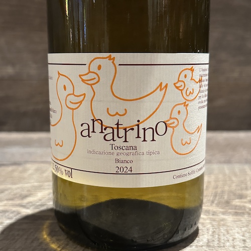 Carlo Tanganelli Anatrino アナトリーノ 2024