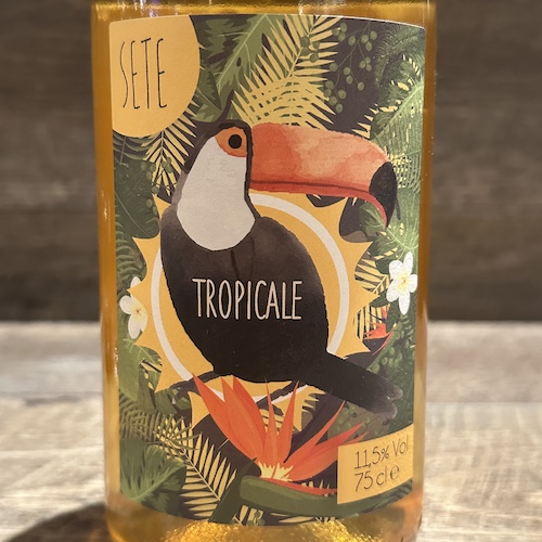 SETE Tropicale トロピカーレ 2024