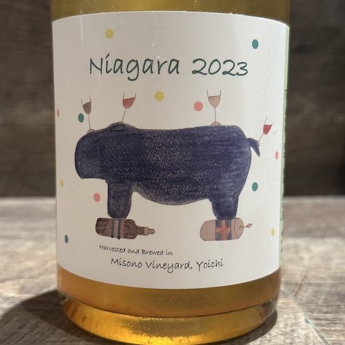 Misono Vineyard Naiagara 2023 ナイアガラ